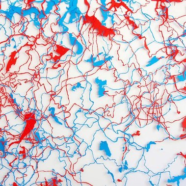 Body of Water, artwork by Tasmanian artist Diane Allison, HALLISON Studios, finalist in the Glover Prize, featuring cut paper in blue and red of Tasmania's rivers and lakes, reminiscent of arteries and veins.