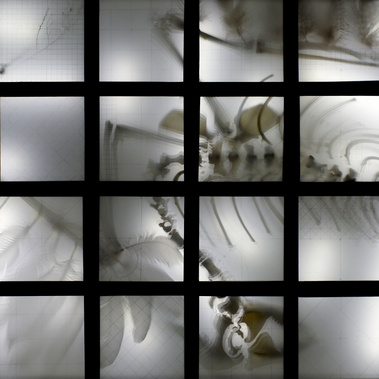 Kinetic gridded shadowy art by contemporary Tasmanian artist Patrick Hall of  HALLISON Studios. A monochrome black & white piece based on the archaeopteryx bird dinosaur fossil Natural History Museum London, made of bones, white feathers, motors & lights.