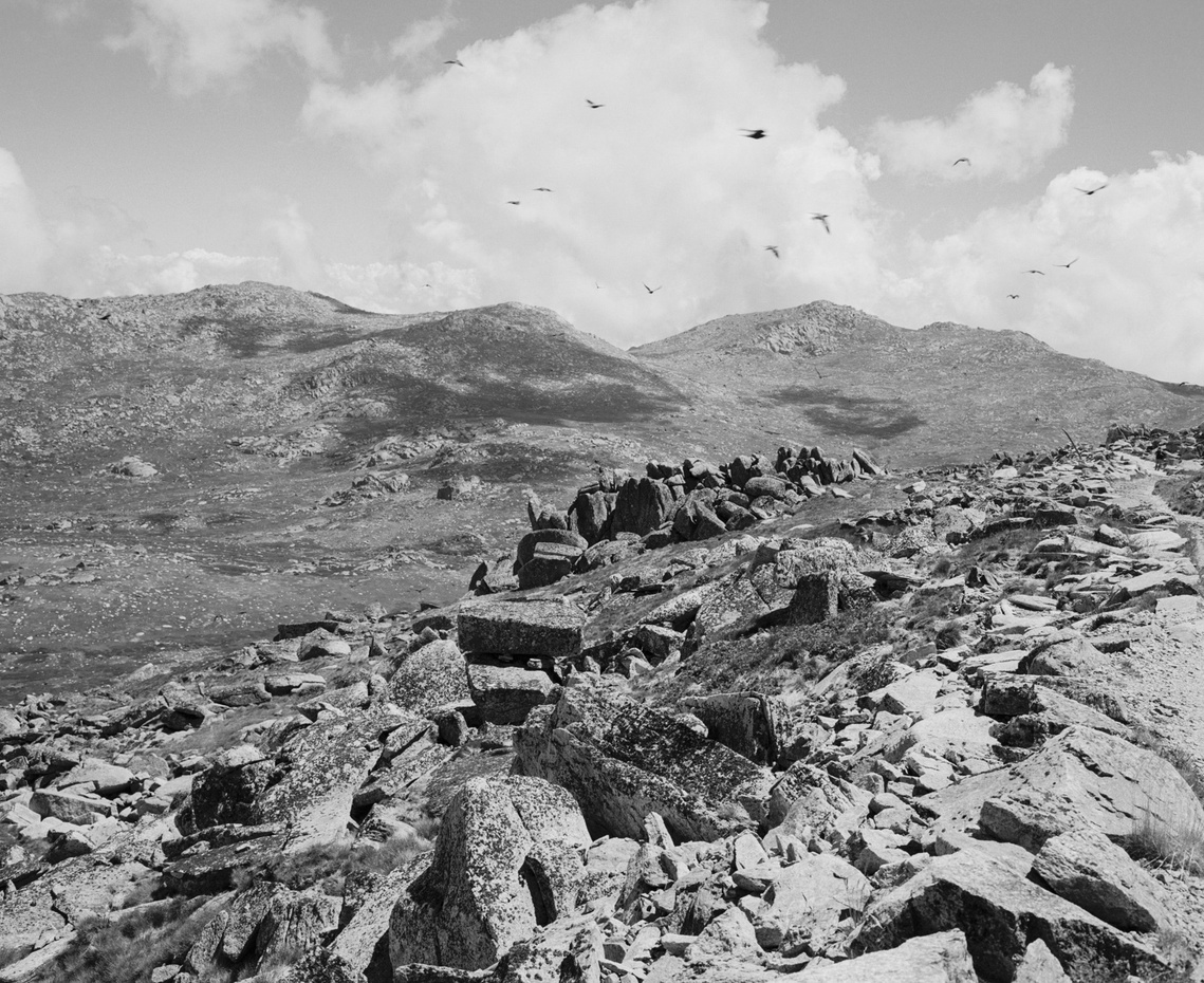 Mt Kosciuszko in Kosciusko National Park. Photography by Darren Gill