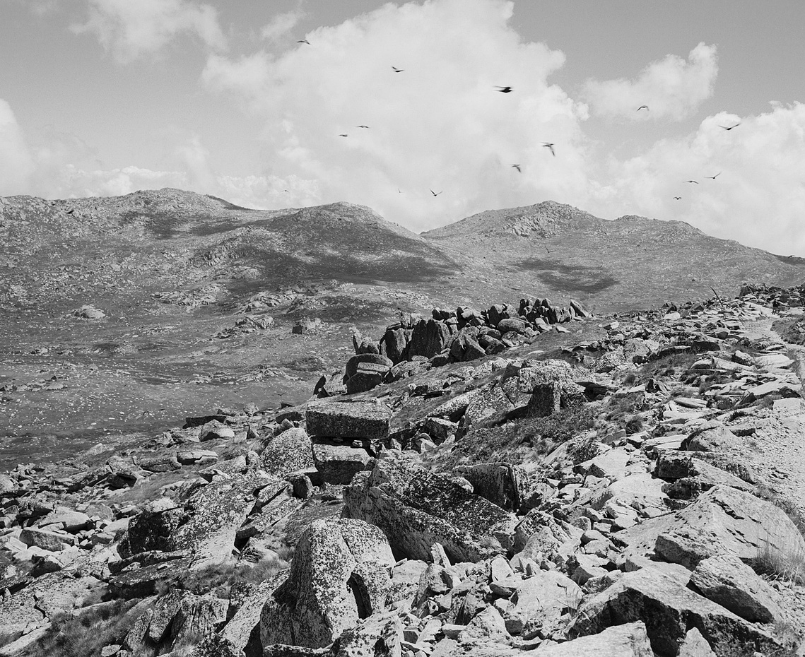 Mt Kosciuszko in Kosciusko National Park. Photography by Darren Gill