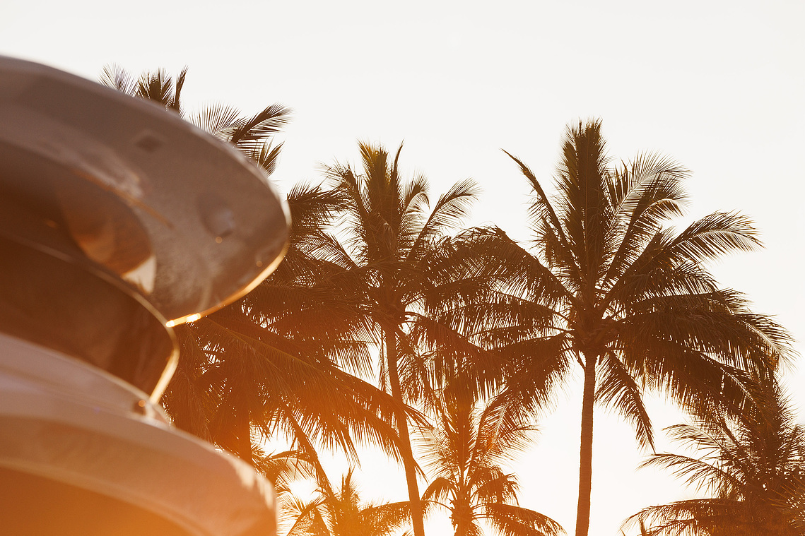 Sunset and palm trees at Hayman Island during the Princess Yachts Owners Rendezvous. Photography by Darren Gill.