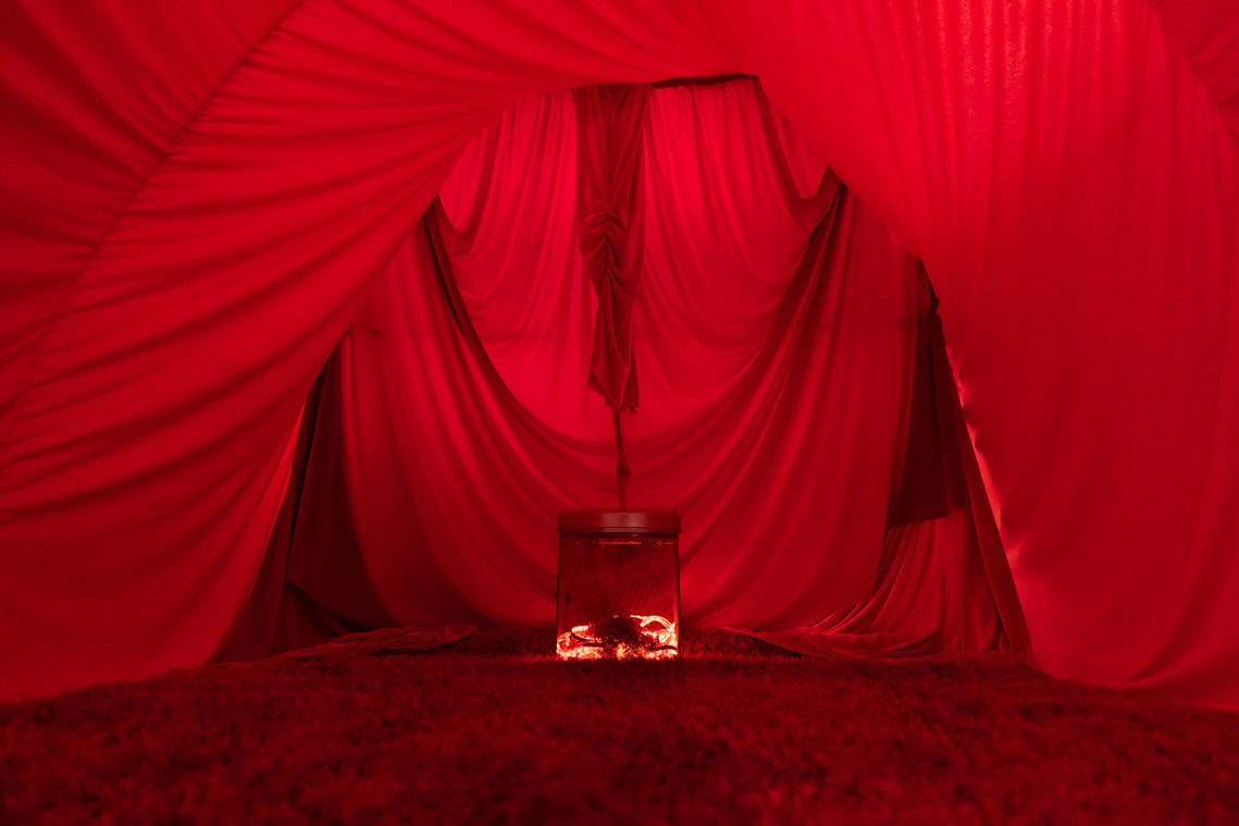 Womb an art installation at La Mama Theatre during the War-Rak Banksia Festival. Photography by Darren Gill