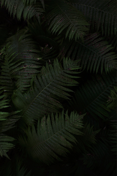Personal project from 2016