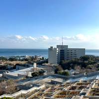 Tadao Ando :: Awaji Island