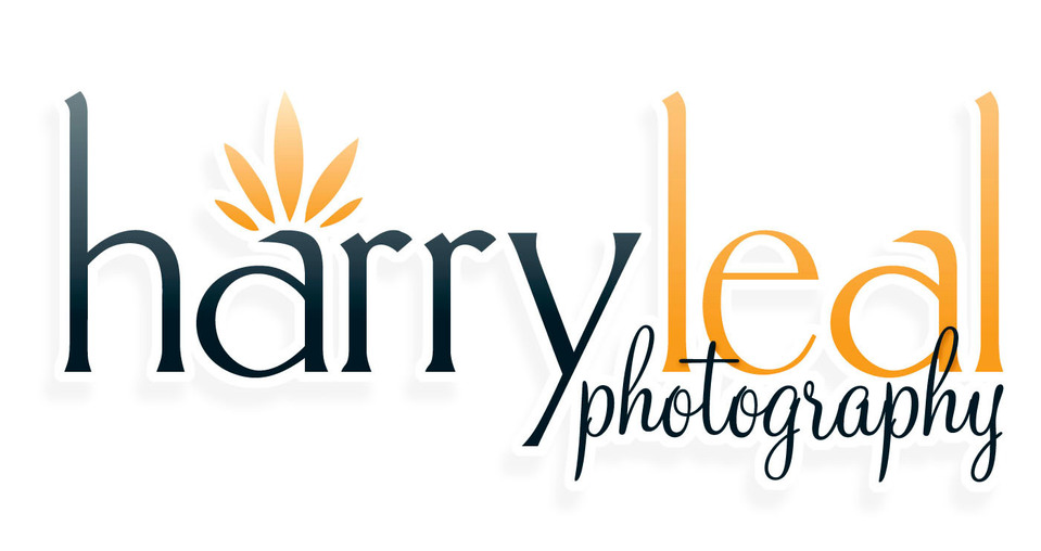 Harry Leal's Portfolio