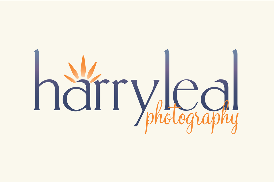 Harry Leal's Portfolio