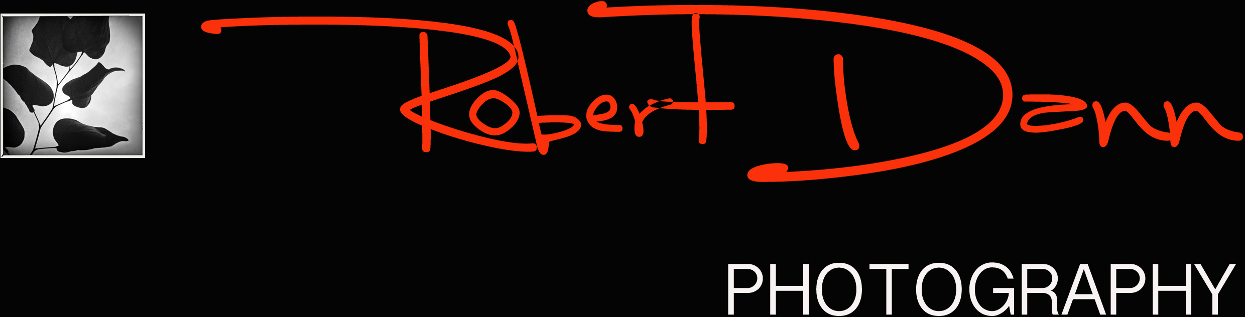 Robert Dann Photography