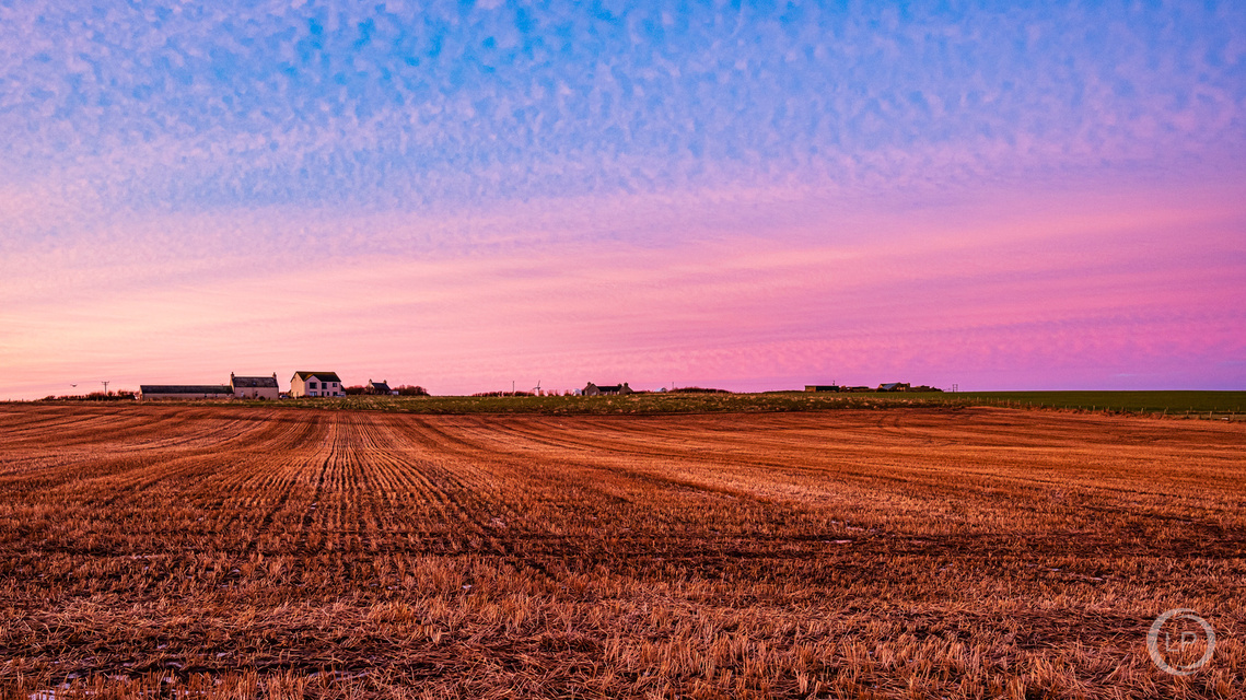 A photo looking across the field next to the  LASTlight studio, to a beautiful sunrise sky on the East Mainland of Orkney.