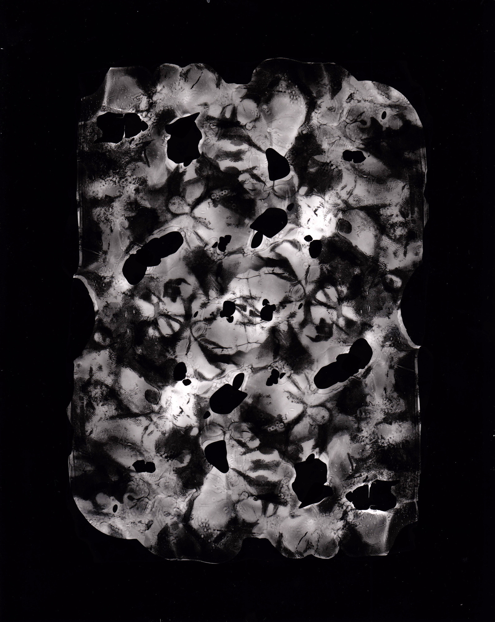 Cliche Verre 2