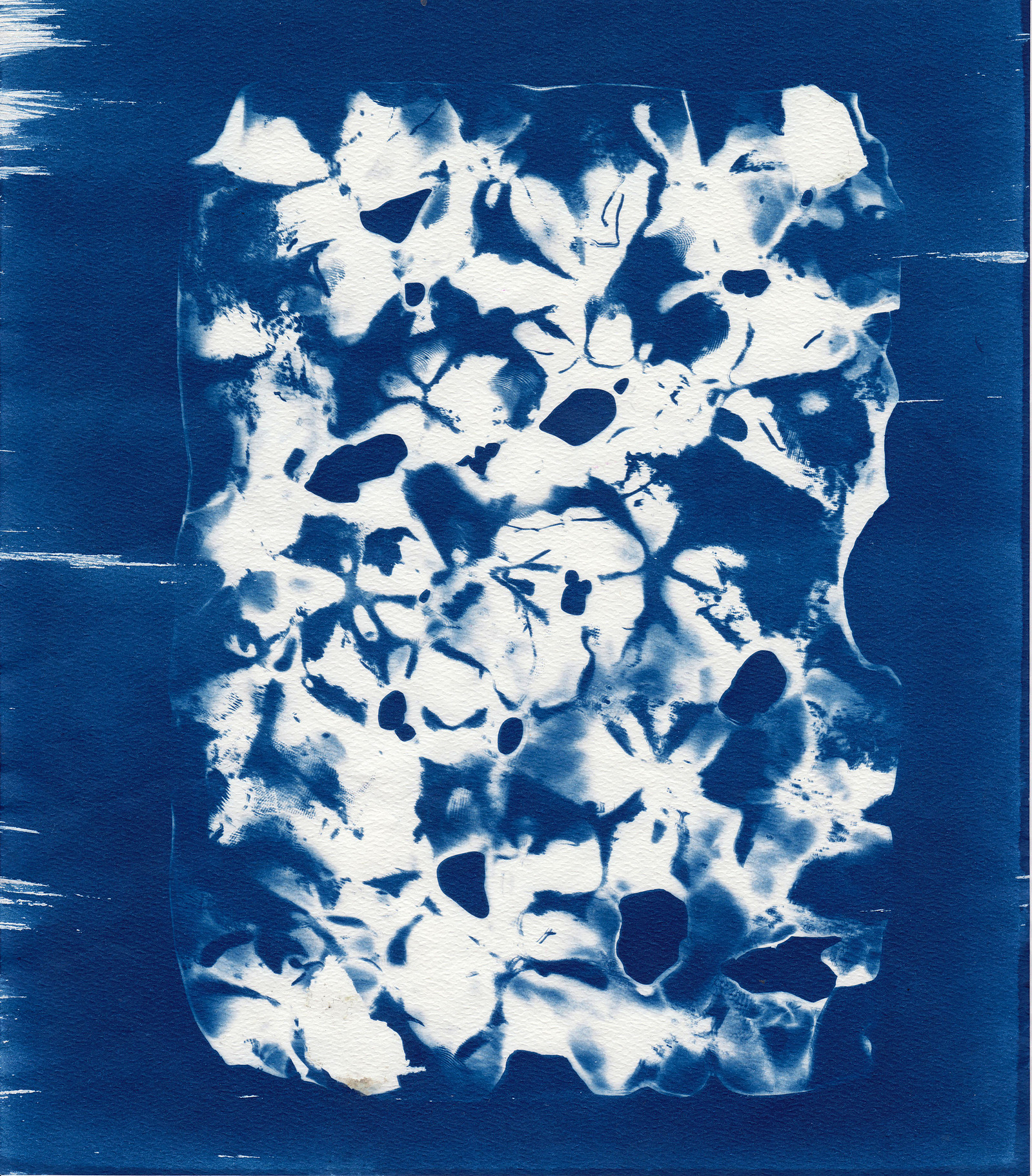 Cyanotype