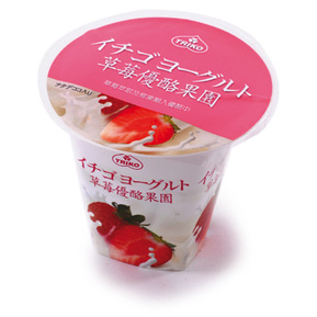 cup youghurt