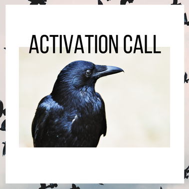 Crow medicine: the spirit animal that oversees online activation calls that include spiritual coaching, quantum healing practices and energetic activations