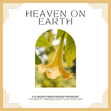 Heaven On Earth, an energy work mentorship program to create tangible shifts in your life