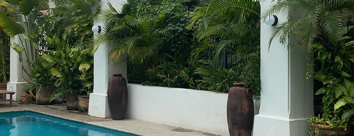 Casa Ritual, a boutique hotel featuring a lush pool scene