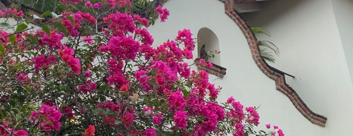 Casa Ritual, a boutique hotel in Mexico, with pink flower bushes and a female saint at the entrance