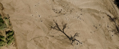 A frame from 25zero: East Africa short documentary directed and shot by Adelaide based Australian cinematographer and Director of Photography or DoP Miles Rowland