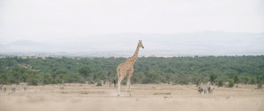 A frame from 25zero: East Africa short documentary directed and shot by Adelaide based Australian cinematographer and Director of Photography or DoP Miles Rowland