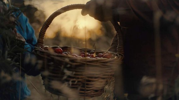 A frame from Facebook & Warndu TVC by Adelaide based Australian cinematographer and Director of Photography or DoP Miles Rowland