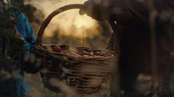 A frame from Facebook & Warndu TVC by Adelaide based Australian cinematographer and Director of Photography or DoP Miles Rowland