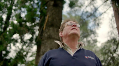 A frame from the BBC Natural History Unit production Animals With Cameras Series 2 - Fruit Bats. Shot by Adelaide based Australian cinematographer and Director of Photography or DoP Miles Rowland