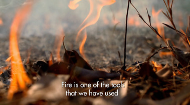 A frame from the CBC Docs Series 'The Nature of Things' - Australian unit shot by Adelaide based Australian cinematographer and Director of Photography or DoP Miles Rowland