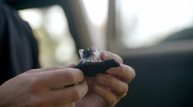 A frame from the BBC Natural History Unit production Animals With Cameras Series 2 - Fruit Bats. Shot by Adelaide based Australian cinematographer and Director of Photography or DoP Miles Rowland
