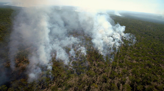 A frame from the CBC Docs Series 'The Nature of Things' - Australian unit shot by Adelaide based Australian cinematographer and Director of Photography or DoP Miles Rowland