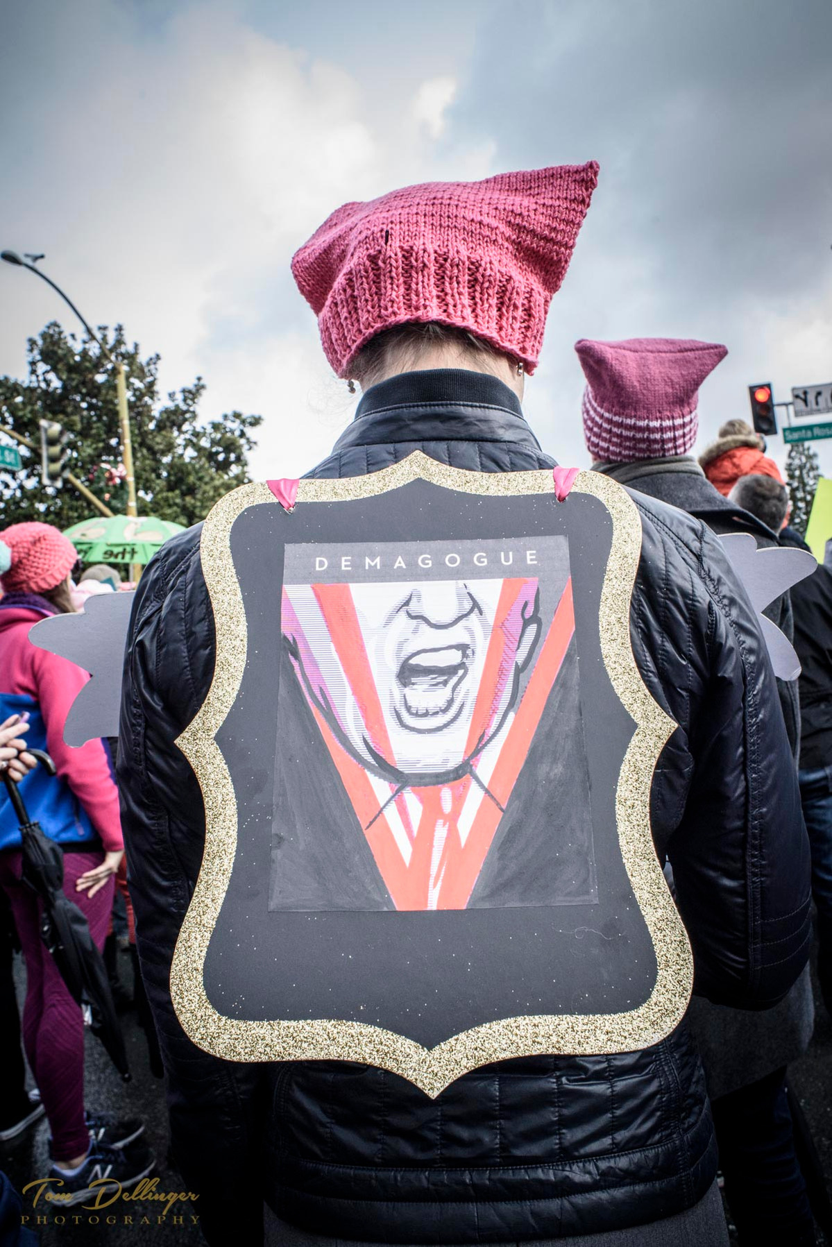 Women's March, Santa Rosa CA, Jan 21, 2017