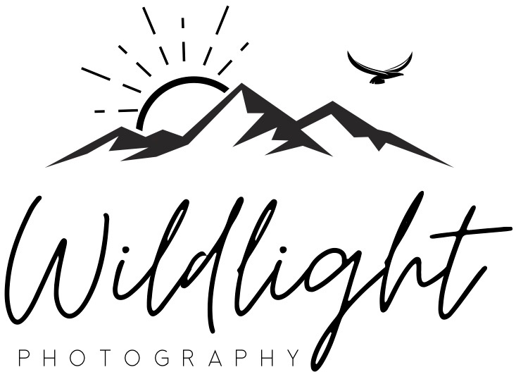 Wildlight Photography by Ashleigh Magill