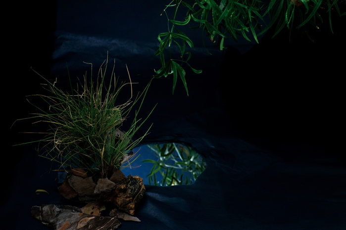 Charca nocturna / Pond By Night
2016 © Antonio J Fonseca