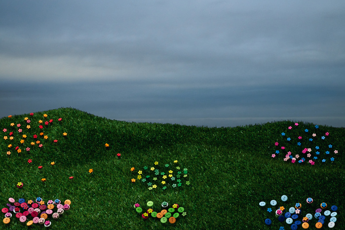 Campo de flores / Flowers Field
2016 © Antonio J Fonseca