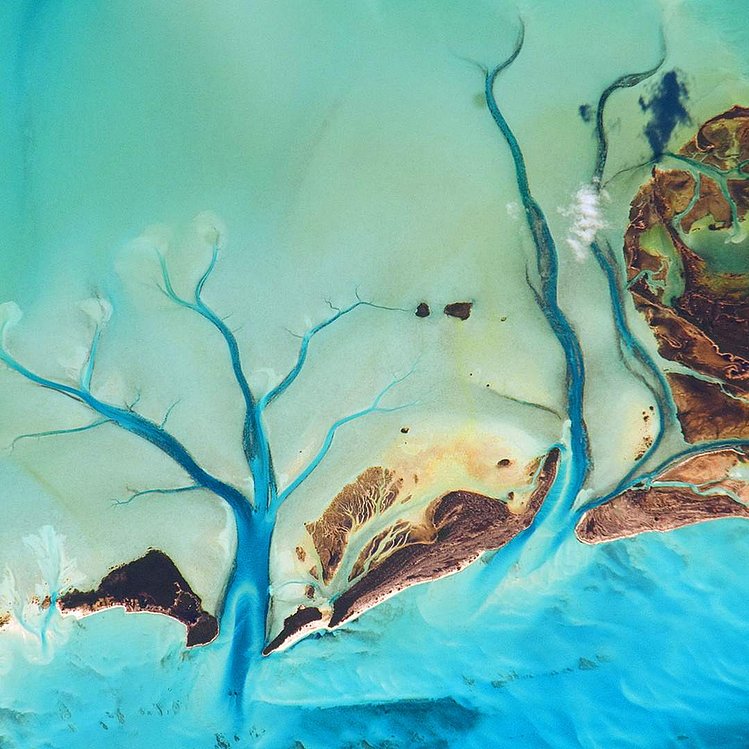 sarah zimmer artwork from panchromatic project