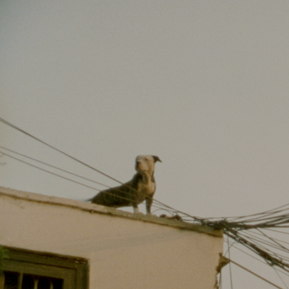 Lima, Peru