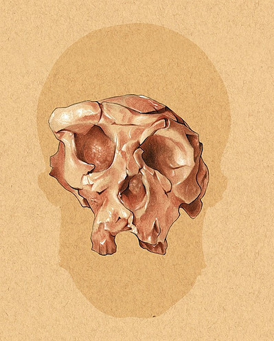 Sahelanthropus tchadensis. Conte crayon.