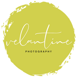 Velantine's Portfolio