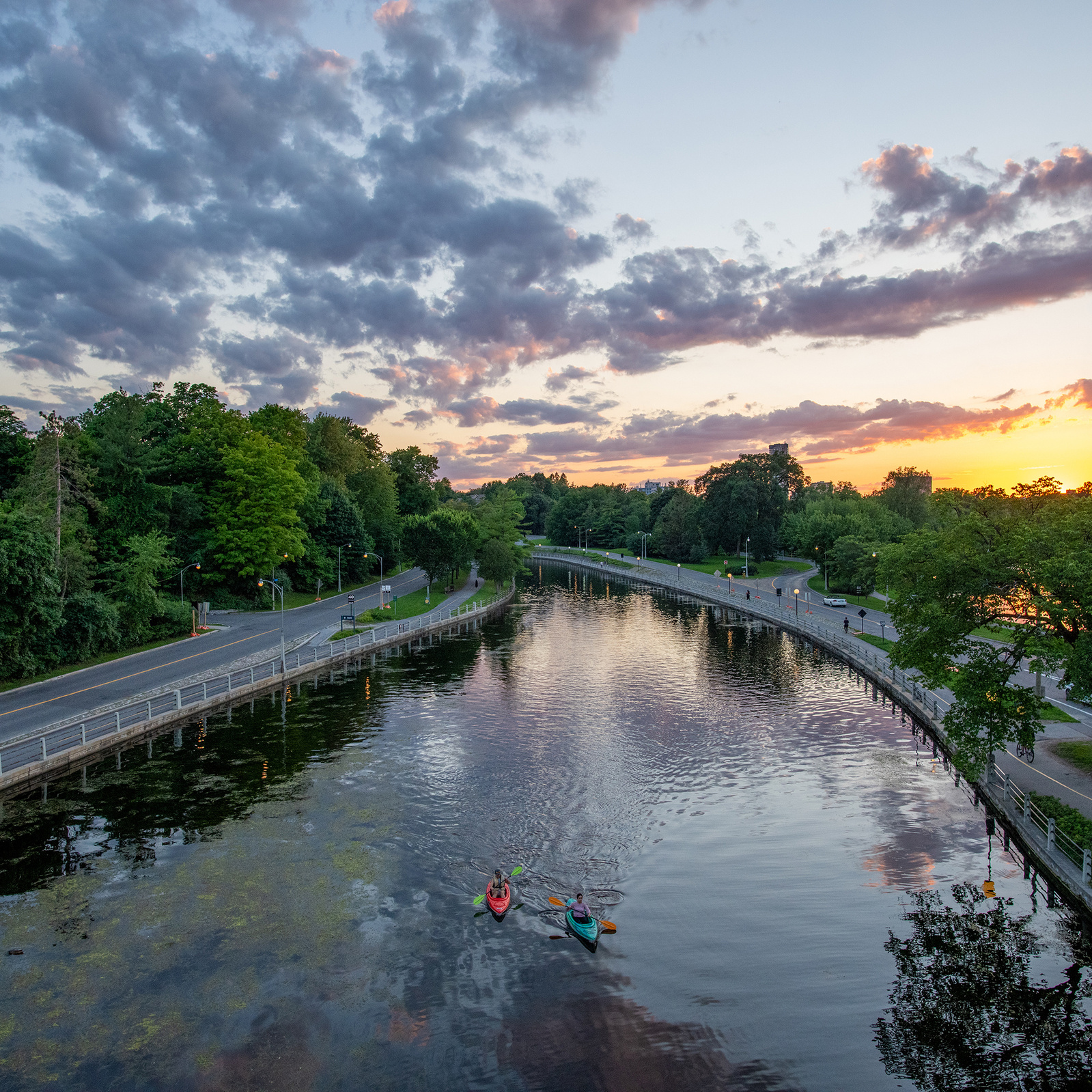 Rideau Canal Kayakers at sunset in Ottawa from Bank Street Bridge