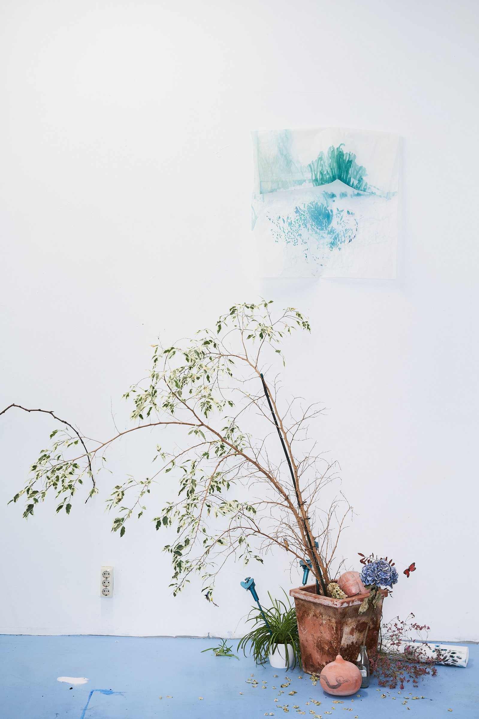Plant, ceramic, spray painted fly catchers and ink and salt on acetate sheet