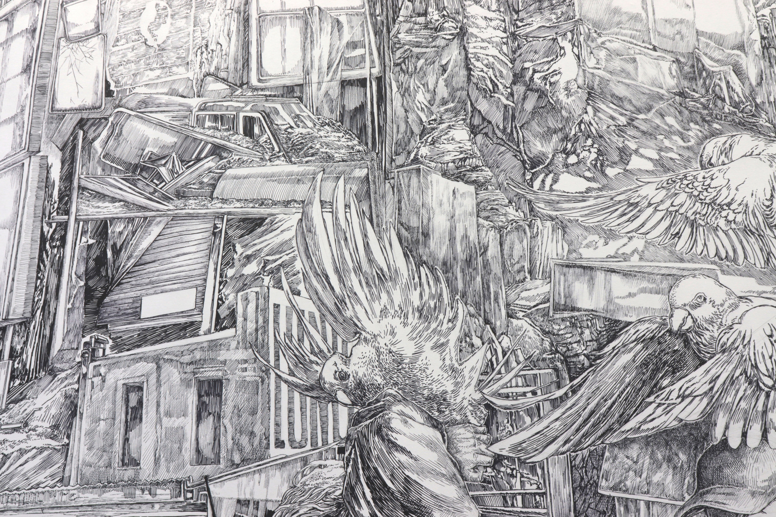 Le grand élastique crayon graphite stylo encre clara marciano dessin
