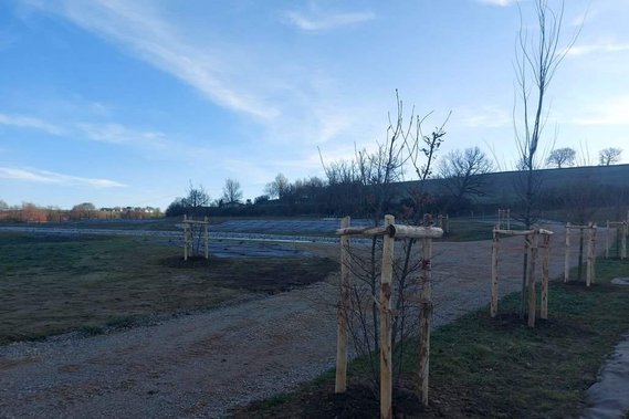 Plantation d'arbre et d'arbuste sur la station d'épuration