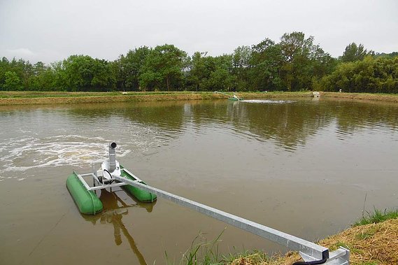 lagunage aéré, aérateur à vis, aération lente, lagunage, bassin aéré