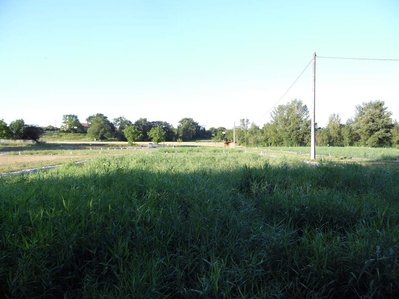 filtre à roseaux adaptés à plus de 1000 Équivalent Habitant (EH)