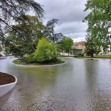 Aménagement d'un bassin paysagé