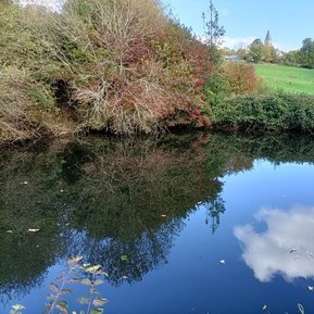 Lagune