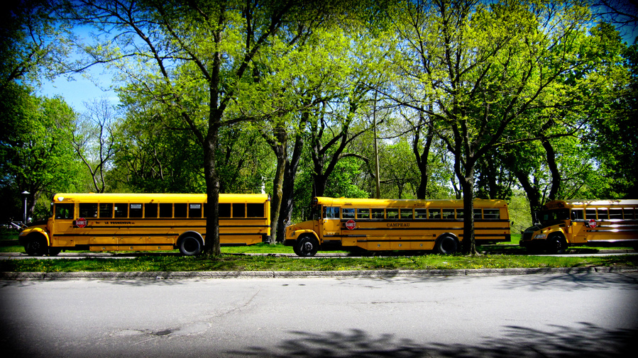 Les bus jaunes, les bus des écoliers canadiens. Montréal. Lafontaine. Marie Maireville.