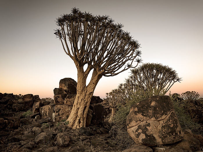 Fotoreise Namibia April 2022