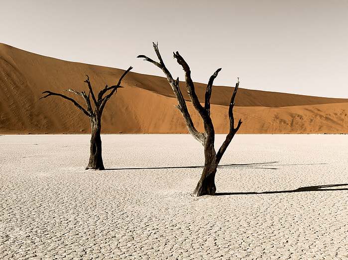 Fotoreise Namibia April 2022