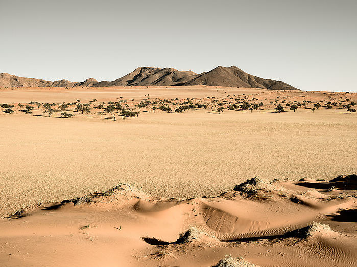 Fotoreise Namibia April 2022