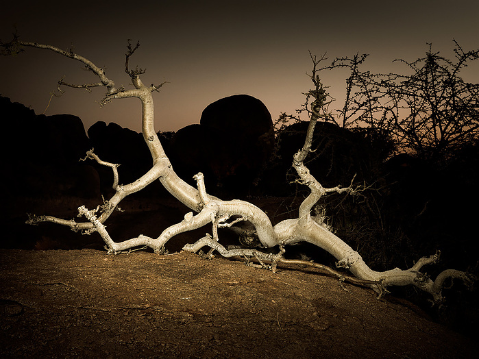 Fotoreise Namibia April 2022