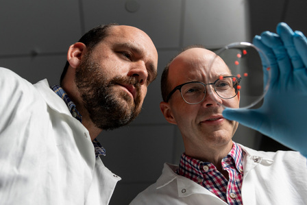 Dr. Thomas Werfel and Dr. Glenn Walker hold up their device that can be implanted in the body tot microdose psychedelic drugs for treatment-resistant depression. They are mostly focused on administering LSD. The device allows very small amounts of the dru