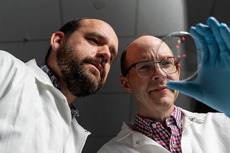 Dr. Thomas Werfel and Dr. Glenn Walker hold up their device that can be implanted in the body tot microdose psychedelic drugs for treatment-resistant depression. They are mostly focused on administering LSD. The device allows very small amounts of the dru